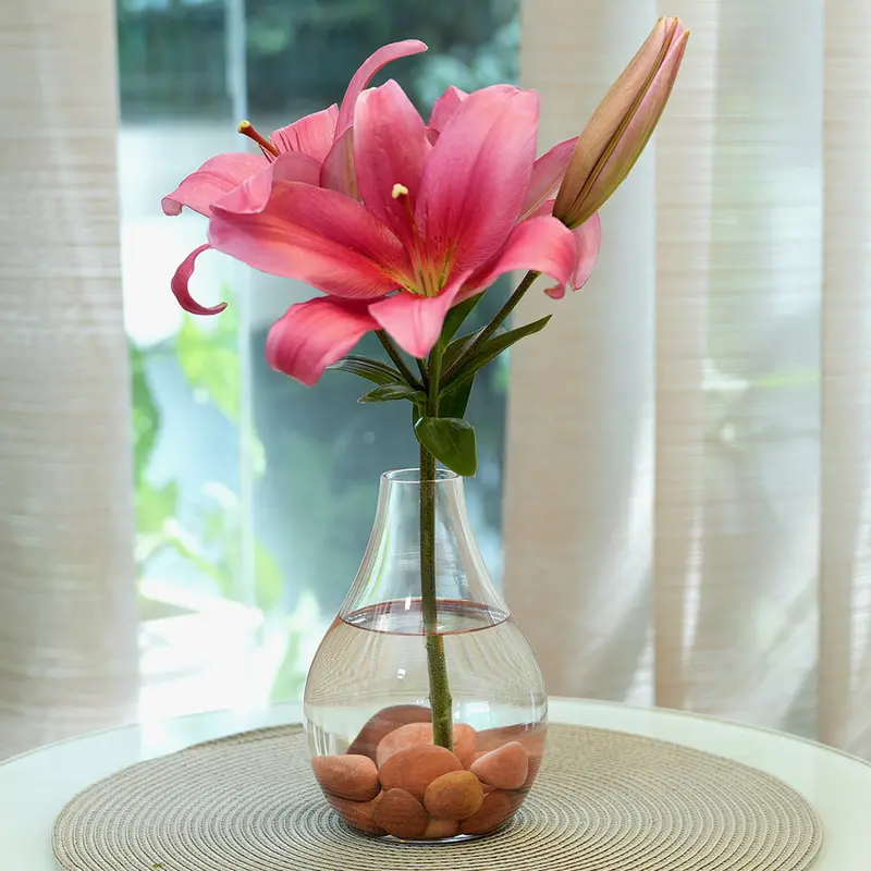 Borosil Grace Decorative Glass Vase – Elegant Single-Unit Home Accent 1