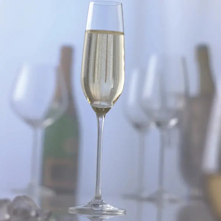 Fortissimo Fluted Champagne Flute 1