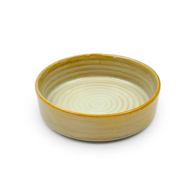 Golden Coast Minimalist Round Salad Plate – 6-Inch Diameter, Tall Rim Design 1