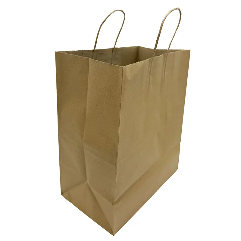 Medium Brown Kraft Paper Shopping Bag – Eco-Friendly, 250 Per Case 1