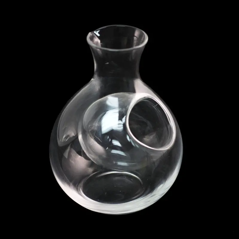 Otsuka Clear Ice Pocket Glass Sake Server – 9 Fl Oz 1