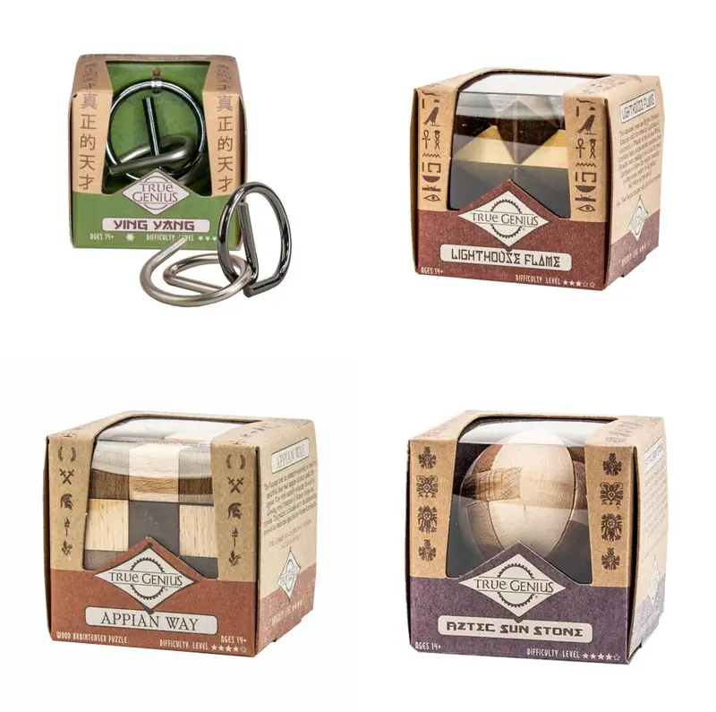 Project Genius True Genius Wooden Brainteasers – Assorted Logic Puzzles 1