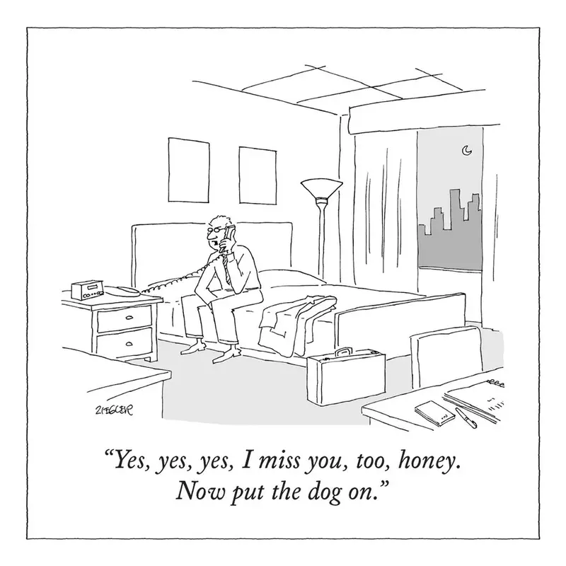 The New Yorker 'Put The Dog On' Fridge Magnet – Humorous Hard Magnet 1