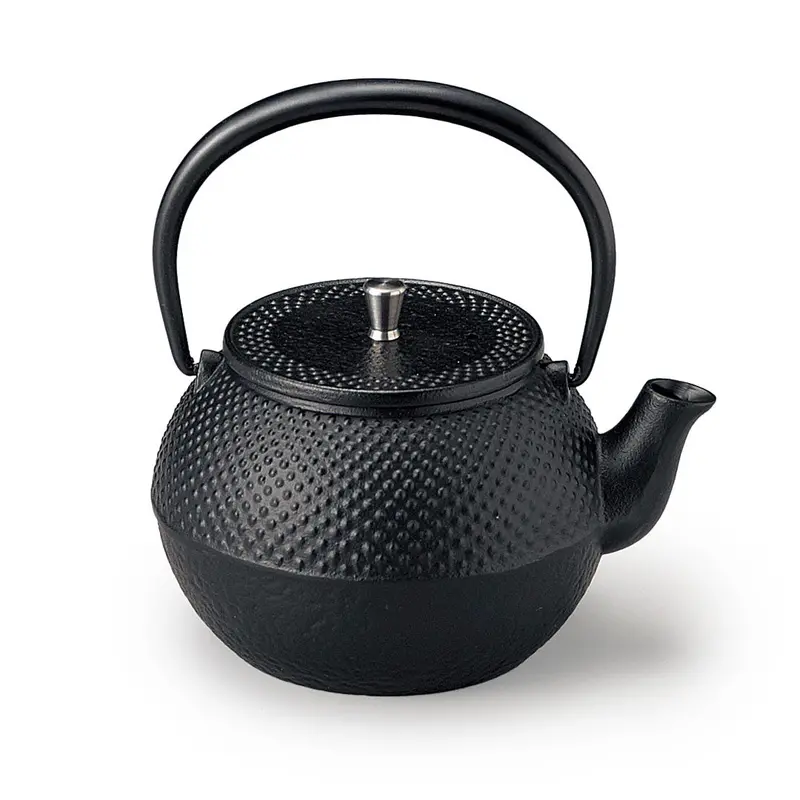 Traditional Nanbu Iron Teapot (Kyusu) – 13 Oz Capacity 1
